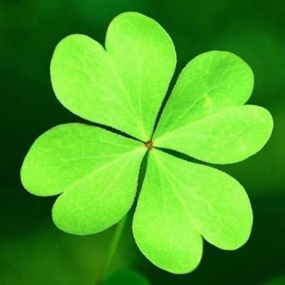 seamus78's profile picture. 49, 5’8, 150lbs Straight-curious