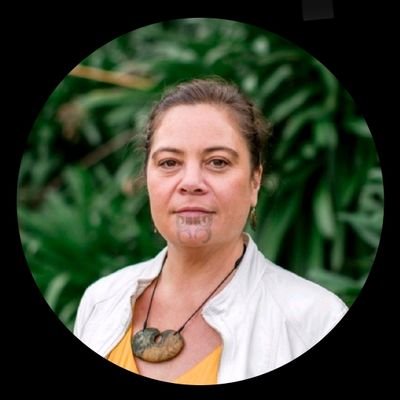 First Indigenous Woman Vice President-President Elect WFPHA - Emma Rawson-Te Patu - Addressing inequities experienced by Indigenous people globally.