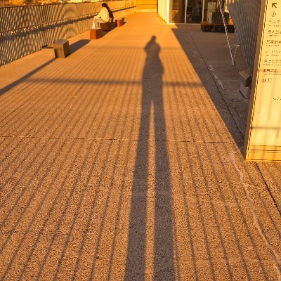 平日は普通のサラリーマンです
休日カメラを持って出かけてます。
Sony α7Riii
RICOH GRIIIX
東京
写真仲間募集中!