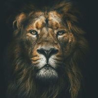 Jay (@j068downsouth) 's Twitter Profile