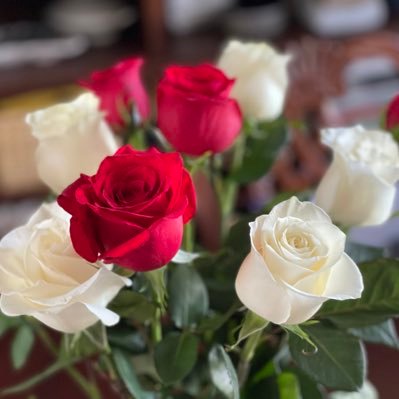 silent_choose's profile picture. 