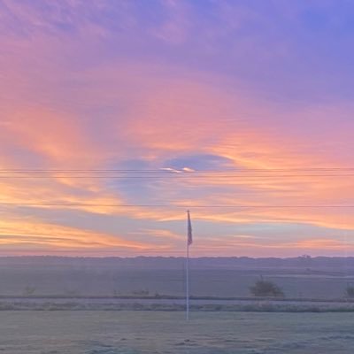 HaileyD44658786's profile picture. IDK:D