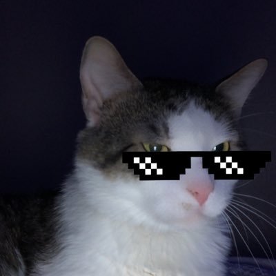 HiiiShamet's profile picture. New Twitch Streamer out here big chillin