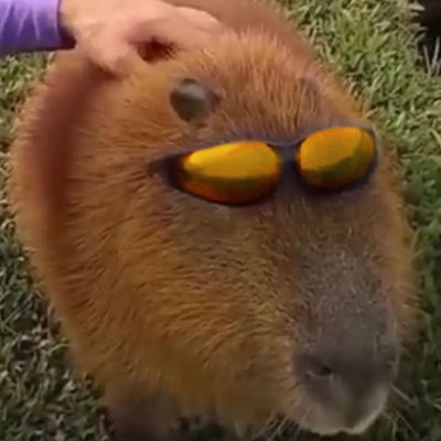 (xxHxx)さんのプロフィール画像