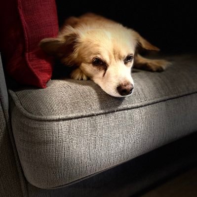 inevitablyMike's profile picture. 