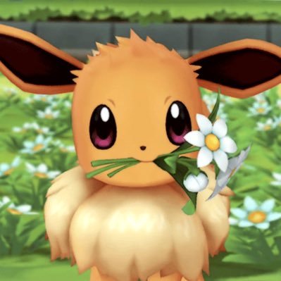 donnathewhip's profile picture. 🦙🐈🦦she/her