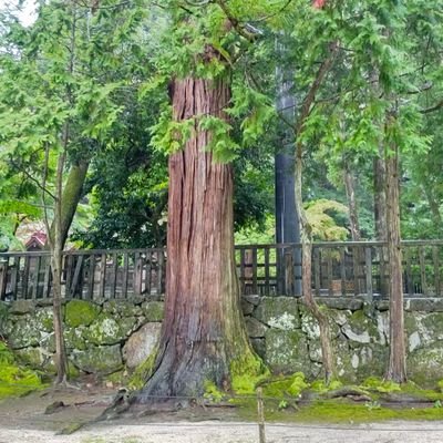 もちさんのプロフィール画像