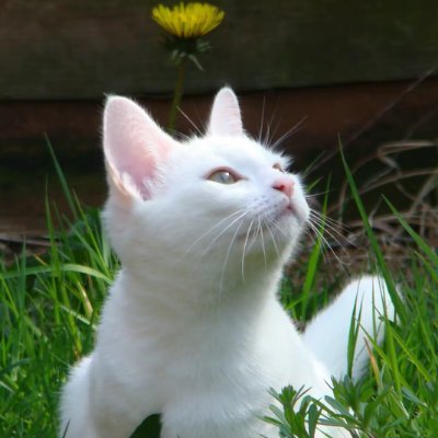 deadbug51178498's profile picture. 