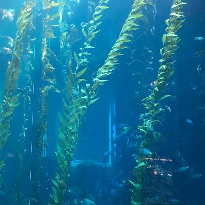 lnmngqn1's profile picture. 21y/男sw偏m