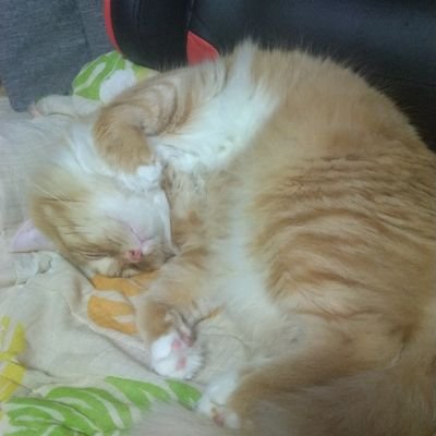 cF1XTEiL6WaDwos's profile picture. 