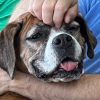CharlieB (@tlb1232) 's Twitter Profile