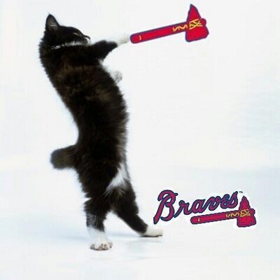 I'm back after a 8 year hiatus. This is my final kitty life. Chop on and drink up my fellow kittens #ForTheA #kittychop #gobraves #meow
