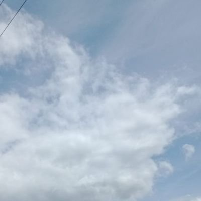 drrraaaara's profile picture. 