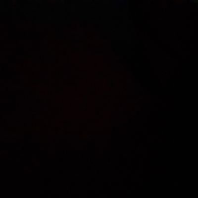 NightShayde's profile picture. 