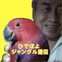 ひでぽよ熱帯ジャングル通信、独眼竜国際ジャーナル (@fbqbwojm6sm4izb) 's Twitter Profile Photo ひでぽよ熱帯ジャングル通信、独眼竜国際ジャーナル (@fbqbwojm6sm4izb) 's Twitter Profile Photo