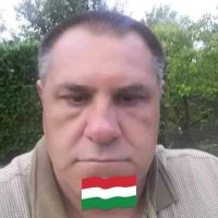 Lajos Sándor Pataki(@LajosSndorPat20) 's Twitter Profileg