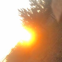 Ayşe Arık Dilek (@ayedile40376682) 's Twitter Profile
