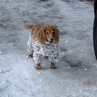 🇺🇸santiams¥*¥🇺🇸 (@santiams_) 's Twitter Profile Photo