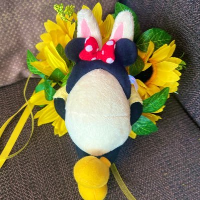 温泉たまごさんのプロフィール画像