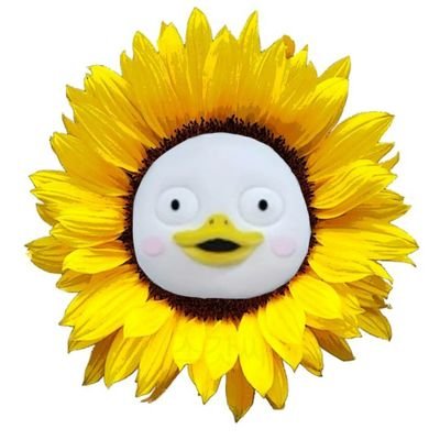 vamps_korea's profile picture. 펭클럽 🐧💙