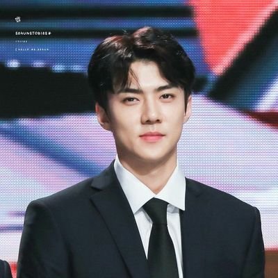 🔞 Roleplayer | One of the best creatures God ever made, Sehun Oh is the name. | 1994's pride