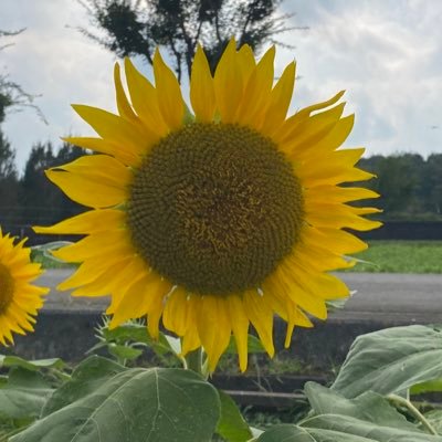 JC94hM7LvKeEuHs's profile picture. 一級土木施工管理技士