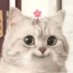 雪中见剑来🇨🇳 (@tenghu8) Twitter profile photo 雪中见剑来🇨🇳 (@tenghu8) Twitter profile photo