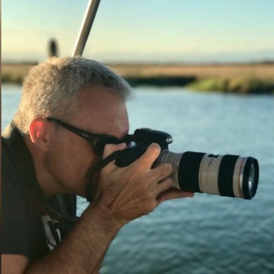 SandroNordio's profile picture. 