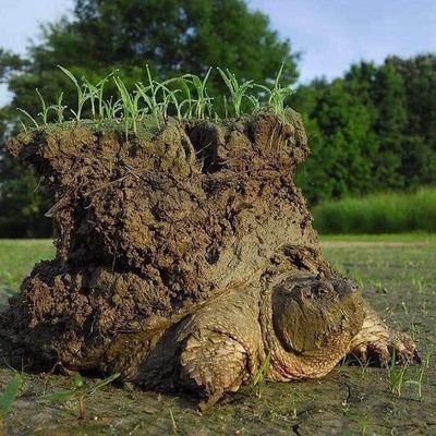 Prekuhさんのプロフィール画像