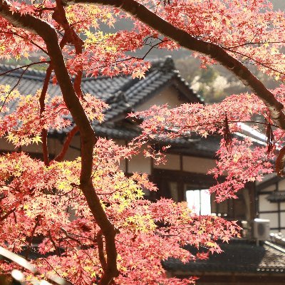 magomemori's profile picture. サークル「日本交通研究協議会」のアカウントです。コミケの発刊情報だけではなく、日常的なこともつぶやきます。鉄道、特にダイヤに興味があります。