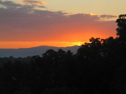 inferno26's profile picture. 