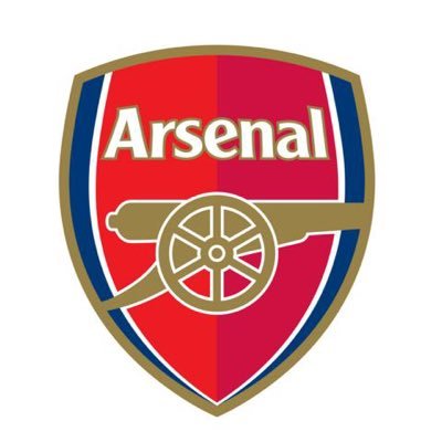 Arsenal season ticket holder