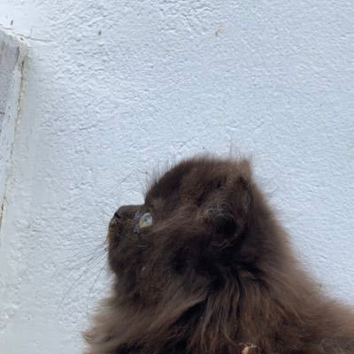 nezzdi_'s profile picture. 