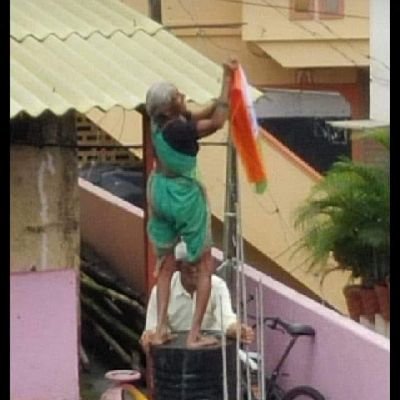 bombaybeardo's profile picture. Proud Indian