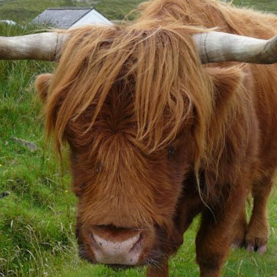 grego12_mc's profile picture. 