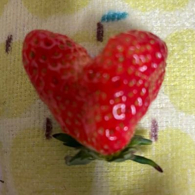 uninatsumenana's profile picture. ニコニコの歌い手スタンガンの母です！ファンの皆様いつも温かいお言葉や応援ありがとうございます😊