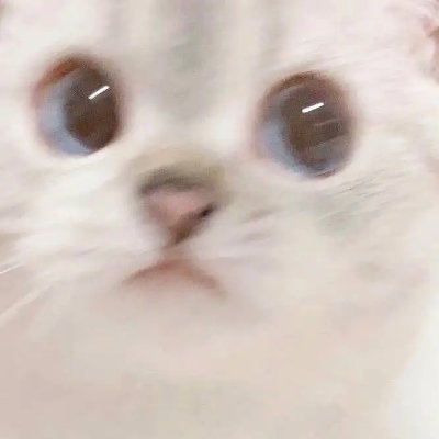 YZさんのプロフィール画像