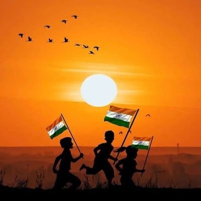 SanishK35035085's profile picture. 