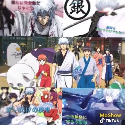 T87651510's profile picture. 