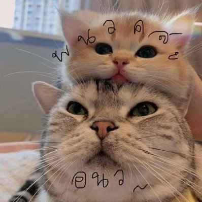 TangKwa•🔅🚫さんのプロフィール画像