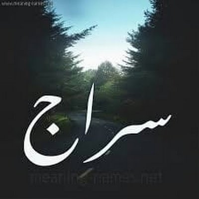 ElshokrySiraj's profile picture. 