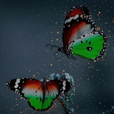 shahnawaa007's profile picture. https://t.co/JtQcqLsSZs 
the accountant