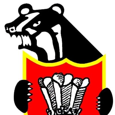 Pontyclun Badgers - Mini & Juniors Profile