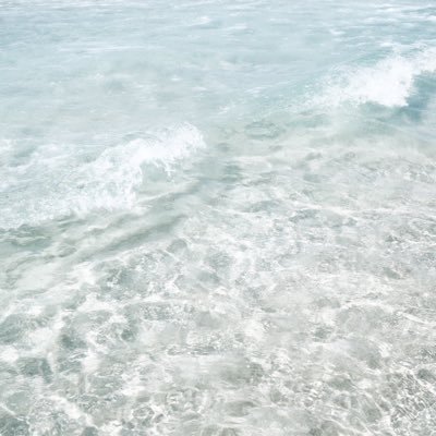 KoT0MEI's profile picture. 