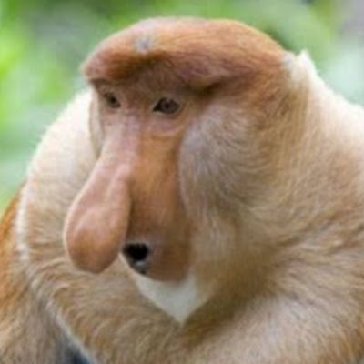 Acepoker10's profile picture. 