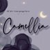 Camellia·高卿尘 (@Camellia0711) Twitter profile photo