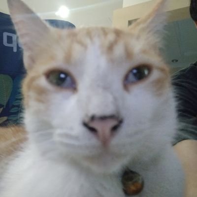 Natさんのプロフィール画像
