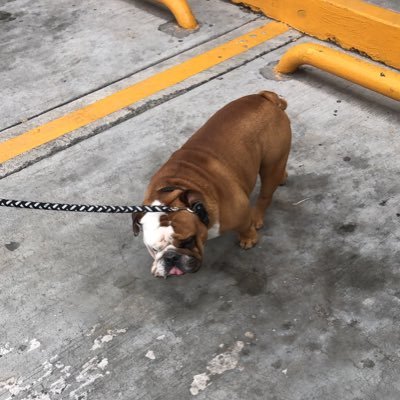 Santi604169291's profile picture. Disfrutando de los placeres de la vida