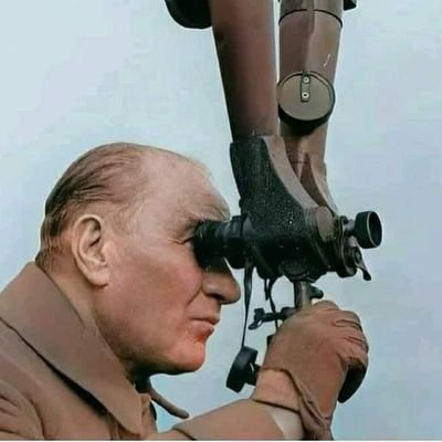 akilliari's profile picture. 