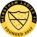 Merstham Ladies FC (@MersthamLadies) Twitter profile photo